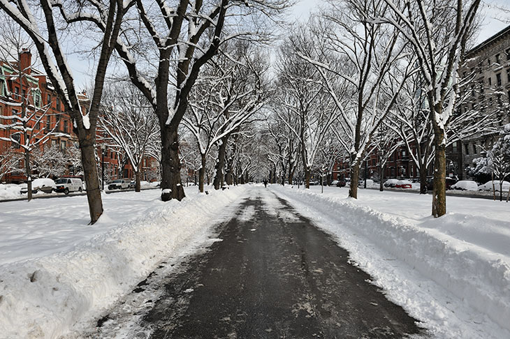 Snowy Commonwealth Avenue Mall